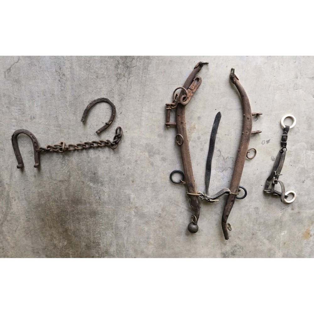 2 ANTIQUE HORSE MULE YOKE HANES HARNESS Horse Shoe